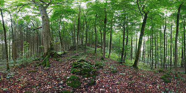 360° Panoramen