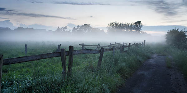 Wandbebilderung, Fineartprints